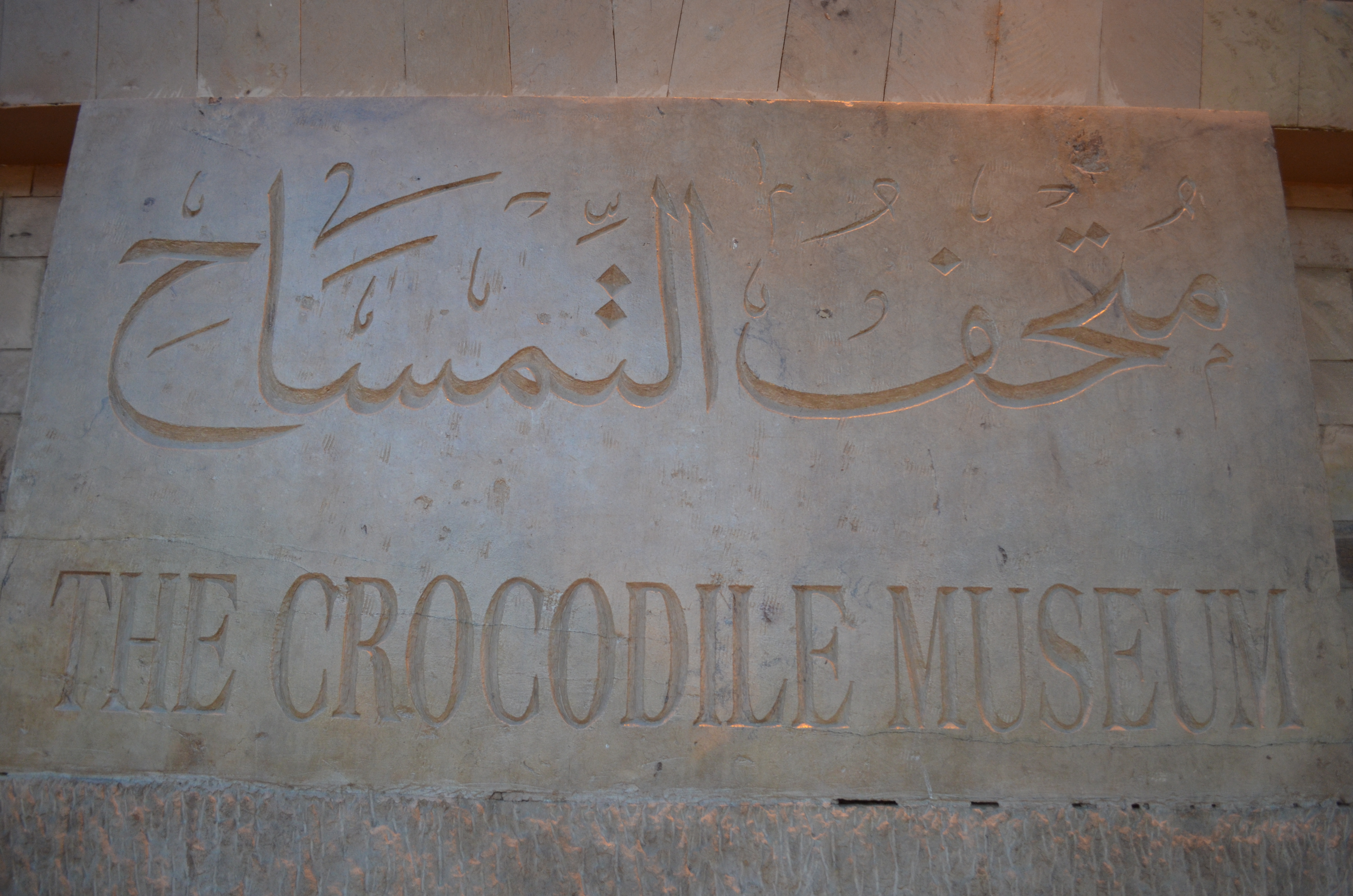 ./2018/16 - Egypt/10 - Kom Ombo/DSC_0800.JPG